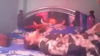 عاهرات مصريات يتم تلبيدهن: موقع إباحي مجاني