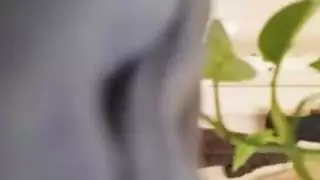 ألعاب الأطفال لسان أمي الألمانية