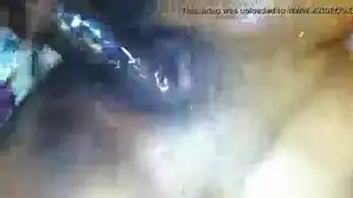 حرارة الغابة: غانغ بانغ للمخلوقات البرية