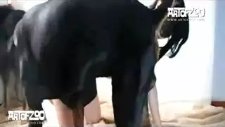 فلم سكس؛ مع؛ الكلب