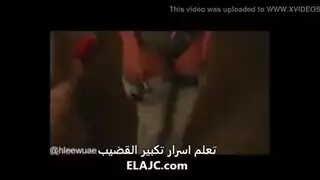 شراميط عربيات متلهفات تتوسلن للدبر الخشن ونكاح المهبل