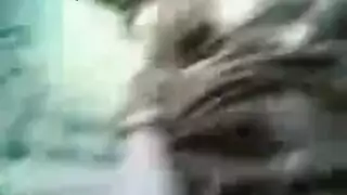 سكس قوي: زي تقليدي ونيك حديث في المحل