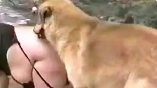 شرج خشن بوضعية الكلب: تحطيم كسها المنقوع بقوة