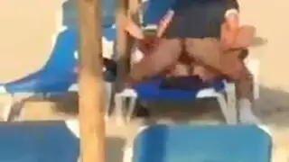 وسادة اليابانية في العام التعارف