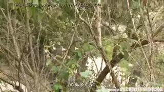 تشيكي النمساوي