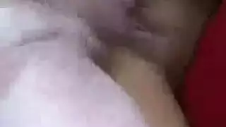 سكش حيوانات مع بنات