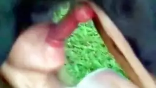 بنات مشلحات يشتغلون كلاب