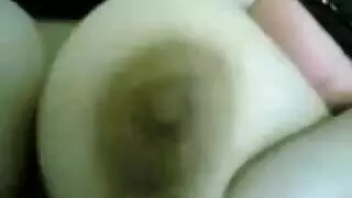 مخمرات بلفيزون تنتاك