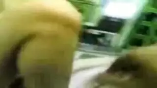 إباحية عنيفة: استمناء لصديقة عراقية تؤدي لوضعية كلابية قاسية