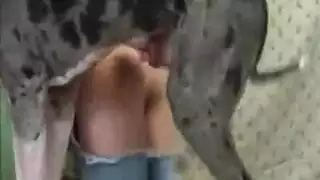كلب جامح يركب فتاة في بورن bestiality صريح