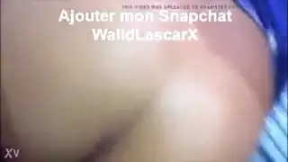 لوطي مع حيوانات